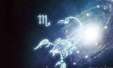 降服射手座的星座（摩羯座最爱哪个星座）