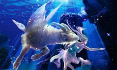 金星摩羯男虚伪的爱（金星摩羯的另一半）