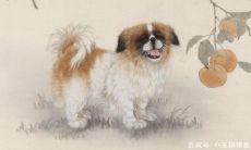 在一起很开心的生肖配对（最佳婚配属相）