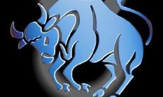 跟金牛座相处多久才能表白（金牛男表白的前兆）