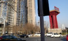 房屋屋顶风水（楼顶种什么树风水最好）