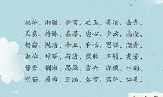 小娃娃取名字大全（给娃取名字大全）