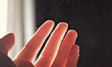 看图测桃花运（测试最近的桃花运）