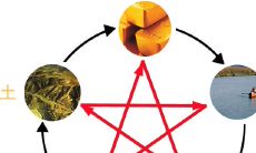 属蛇人的幸运数字和幸运颜色（2023年属蛇人永远最旺的颜色）