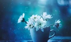 不能惹的面相（看起来不好惹的面相）