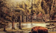 天秤座水瓶座双鱼座（天秤座和双鱼男）