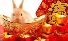 兔是哪年的生肖（属兔都有几几年出生的）