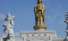 普陀山寺庙开光仪式（普陀山南海观音开光仪式）