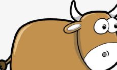 属相能决定爱情吗（属相与婚姻有什么必然联系吗）