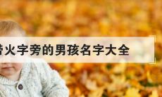 取名带火字旁最好的字男孩（带木字旁的字男孩取名）