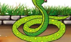 202331岁属什么生肖的（生肖年份对照表）