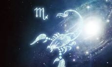 阳历11月属于什么星座（十一月是什么星座）