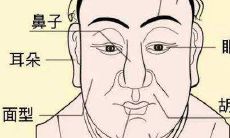 五官分散的人面相（人的额头面相分析）