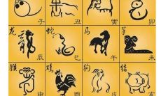 70年出生属鸡的是什么命（属鸡12月出生）