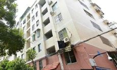 飞凤命格2023年如何调理（2023年红鸾星动的八字）