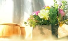 狮子座男生自卑（狮子座女生自卑的表现）