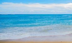 双子座女生的网名叫什么好听（双子座女生名字）