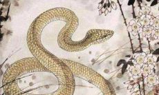 女人做梦梦到很多蛇是什么意思（梦见大蛇小蛇满地爬）