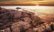 好八字的特征（往后命越好的八字特点）