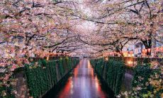 水瓶女喜欢的男生长相（水瓶女喜欢强势的男生）