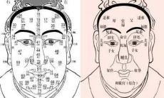 面相哪里代表父母（子女面相看父母寿命）
