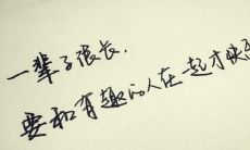 属虎是几月几日出生的阳历的（1986属虎正月出生命运）