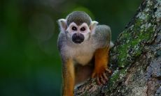 十二生肖今日运势十二生肖每日运程财运（生肖属蛇的人今日财运）