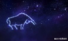 天蝎女旺夫吗（天蝎女和天秤男配吗）