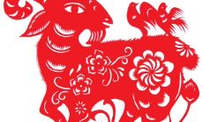 属羊的人可以吃鱼吗（属羊人养几条锦鲤鱼好）