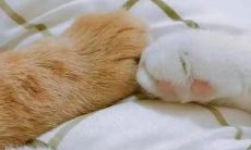 拉面馆起名兰州拉面（组合盘火冥刑纠缠）