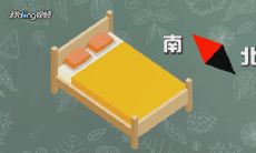 属牛的床头最佳方位（属牛人的床头朝向）