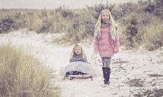 1979年出生2023年的运程（我的爸爸是旺财）