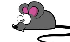 情侣生肖都属鼠好不好（96年属鼠的是什么命）