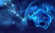 金牛座喜欢怎么样的朋友（金牛座最适合什么星座的朋友）