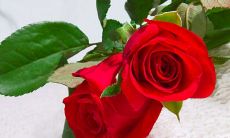 求姻缘可以指定某人吗（姻缘到了的征兆）