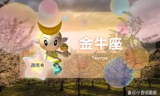 十二星座最佳恋爱日期（十二星座恋爱表）