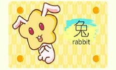 八零后属兔是八几年（属兔的80后是哪年出生）