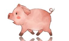 属猪今天财运神巴巴（看下属猪今天的财运）