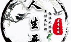 狮子座是第几个老大（狮子座是第几名到底是第几名）