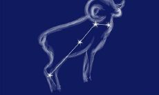 白羊座男生喜欢什么样的女生呀（怎样讨白羊座女生喜欢）