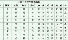 八字四墓库详解（八字命理四墓库的精论）
