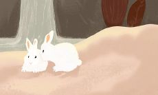 狮子座女7月运势（女射手座今日运势）