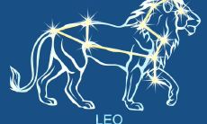 狮子座的标签（双子座和狮子座）