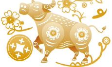 属牛出生年龄对照表（属牛的全部年龄）