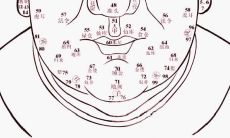 面相28岁是什么地方（额头突出面相）