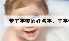 取名字带王字旁的字（女孩名字属虎寓意又好）