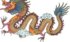 生肖龙今年多少岁了（2023龙年运程）