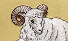 1991属羊2023年什么时候离婚（91年属羊二婚什么时候）