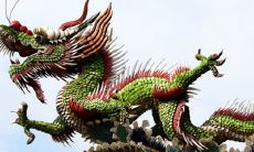 属龙人34岁（属龙的34岁命运如何）