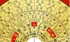 八字月柱对日柱的分析（八字月柱代表什么）